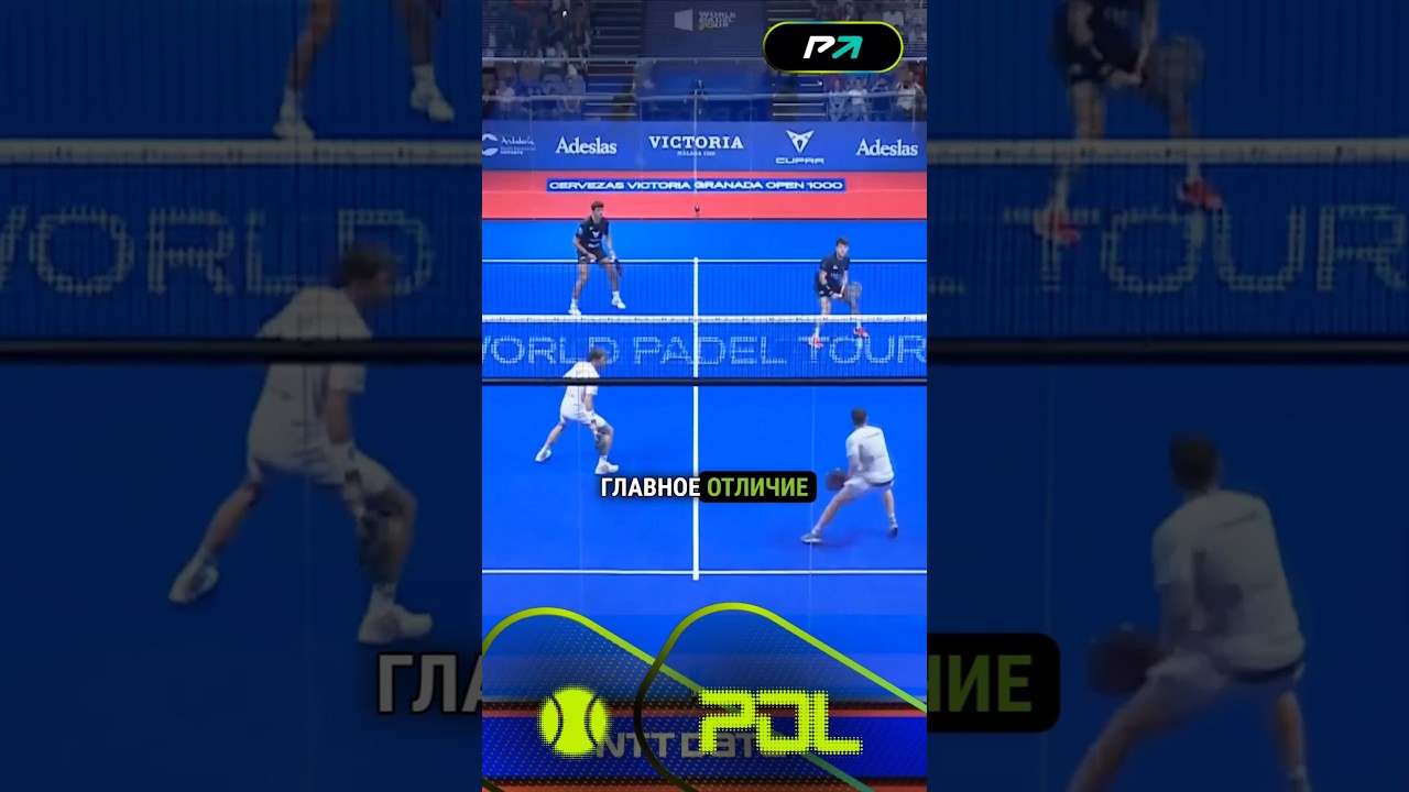 ПРАВИЛА ИГРЫ В ПАДЕЛ #чтотакоепадел #падел #падель #padel