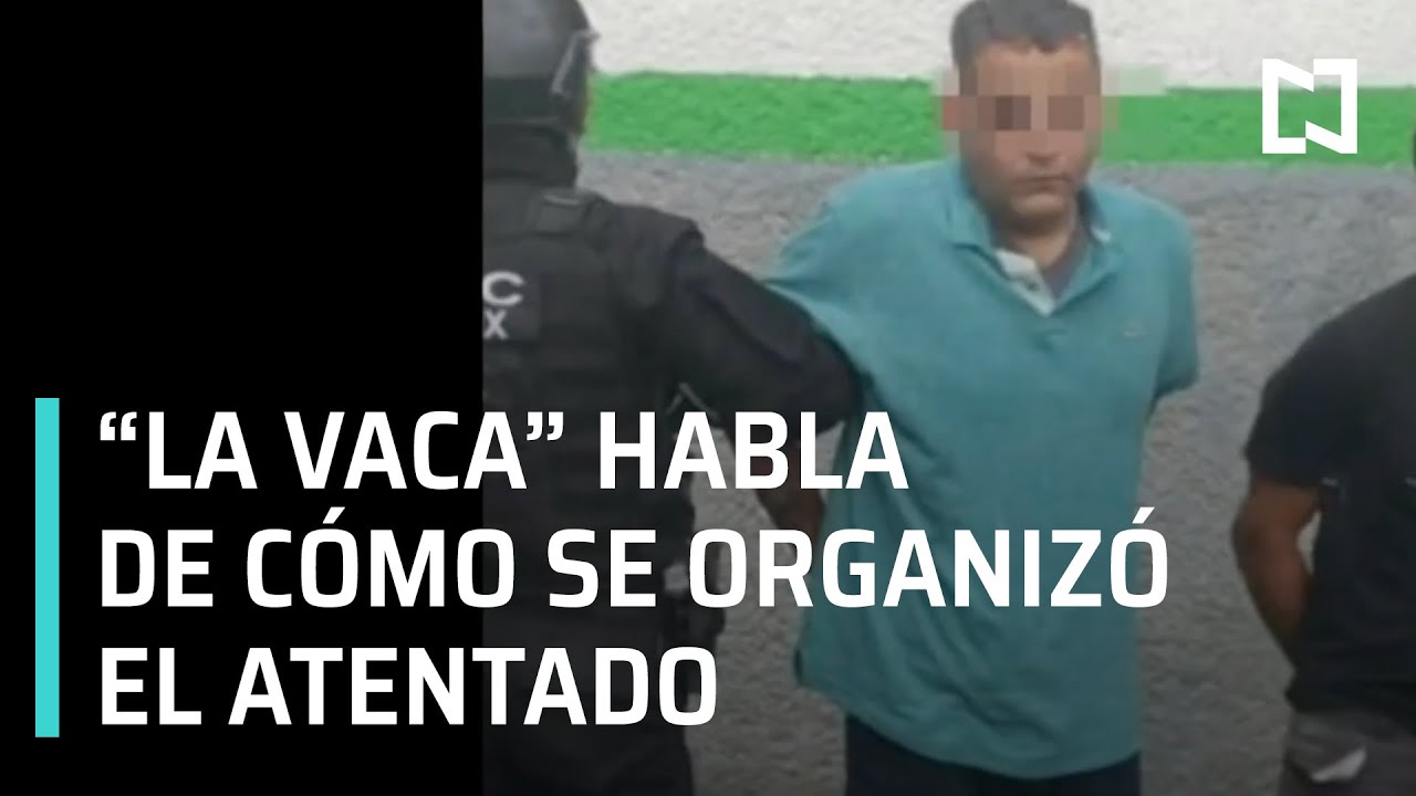 Audiencia de José Armado 
