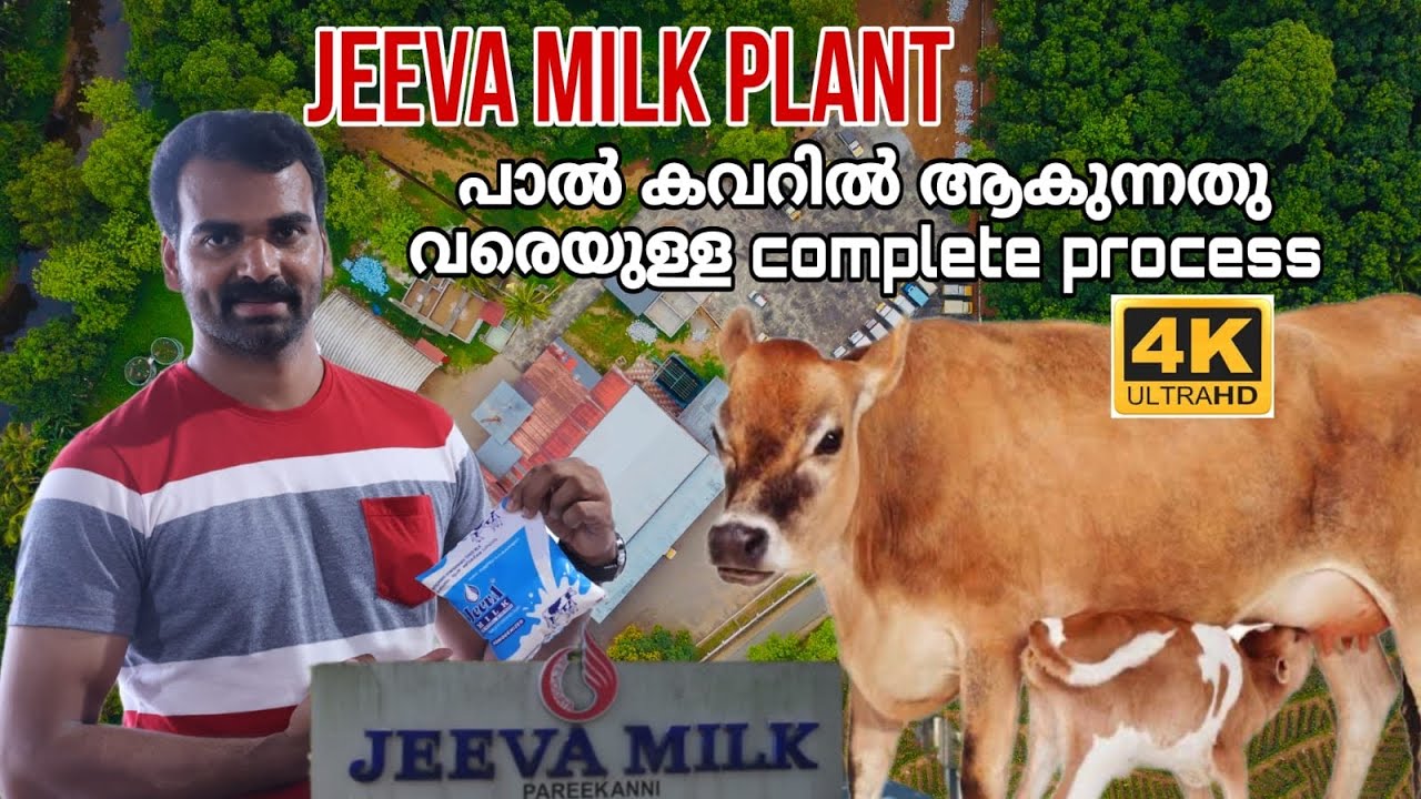 Jeeva milk plant |ജീവ മിൽക്ക്  FACTORY അറിയേണ്ടതെല്ലാം