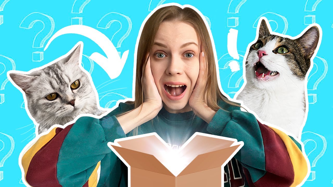 КОШКИ В ШОКЕ ЧТО НАМ ПРИВЕЗЛИ!😱 БОЛЬШАЯ РАСПАКОВКА С НИКОЙ И МЯТОЙ!