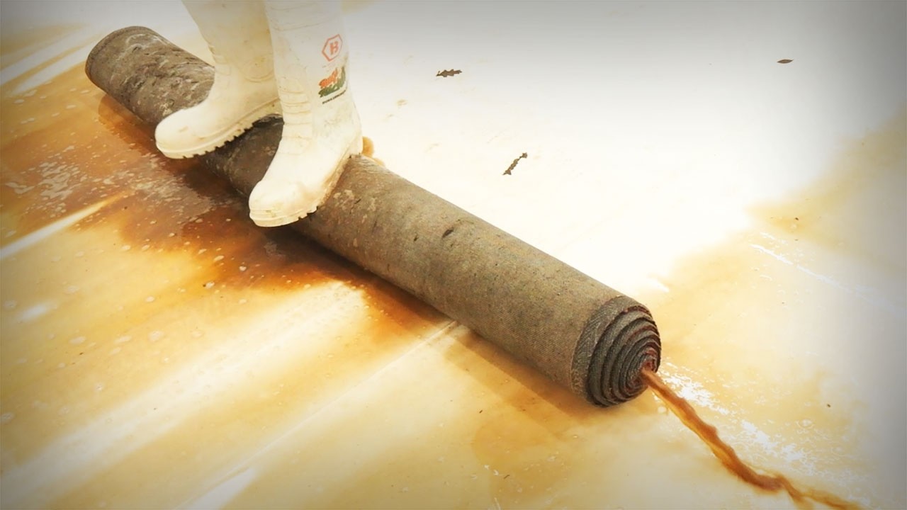 This Rug Was ACTUALLY CRAWLING… Wait Until You See What’s Underneath Satisfying ASMR Carpet Cleaning