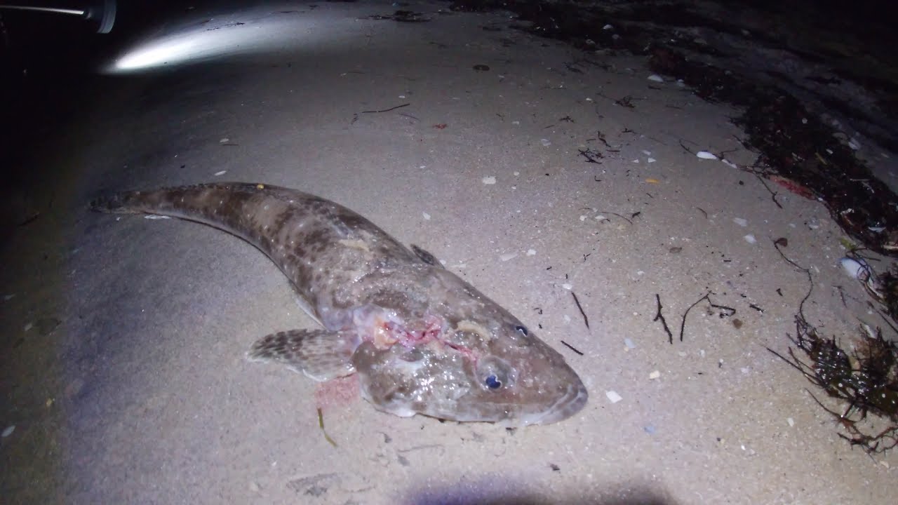 Floundering Port Phillip Bay LOCKDOWN 2HR CHALLENGE (Episode 5)