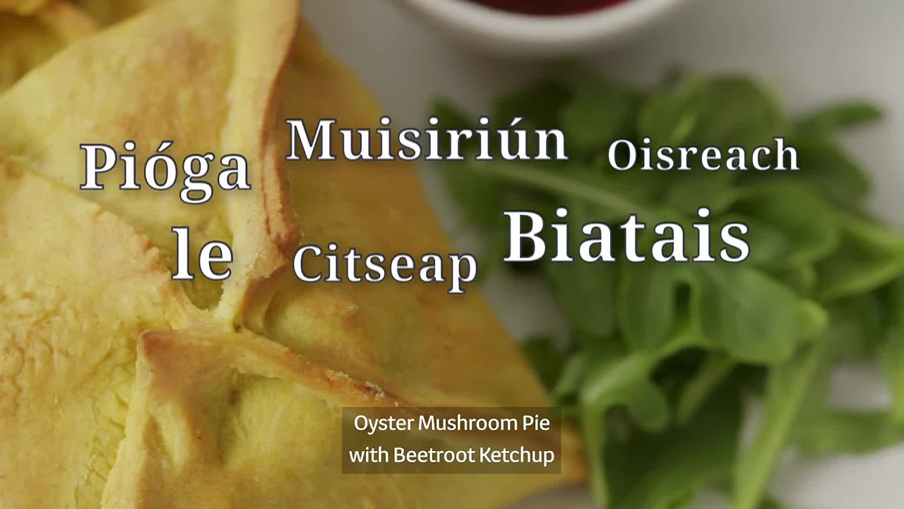 Planda go Pl&aacute;ta | Pi&oacute;ga Muisiri&uacute;n Oisreach - Oyster Mushroom Pie (Vegan🌿) - TG4