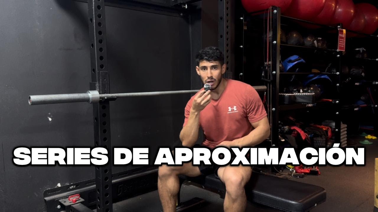 SERIES DE APROXIMACION