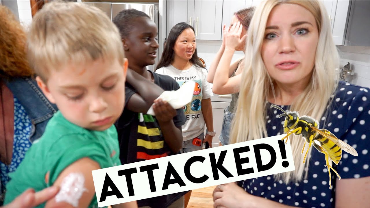 WE GOT ATTACKED BY A NEST OF HORNETS!!! 🐝 + Cliff Jumping!