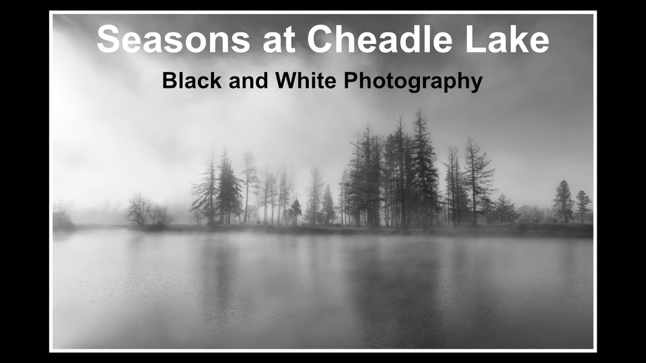 Seasons at Cheadle Lake, Black and White Nature Photography | Seeing Monochrome