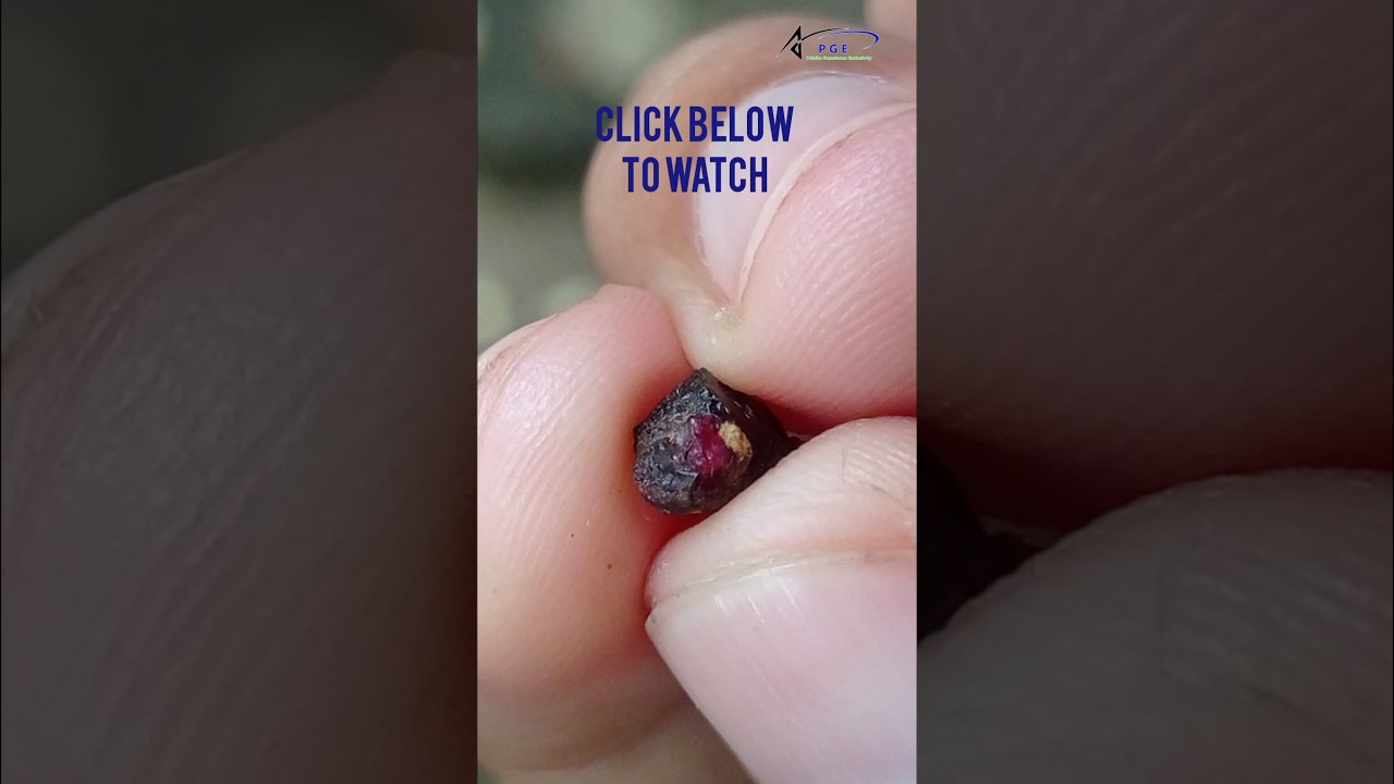#painite #gemstone #painitestone #painita #shortsfeed  #ruby  #alexandrite #gold #diamond #science
