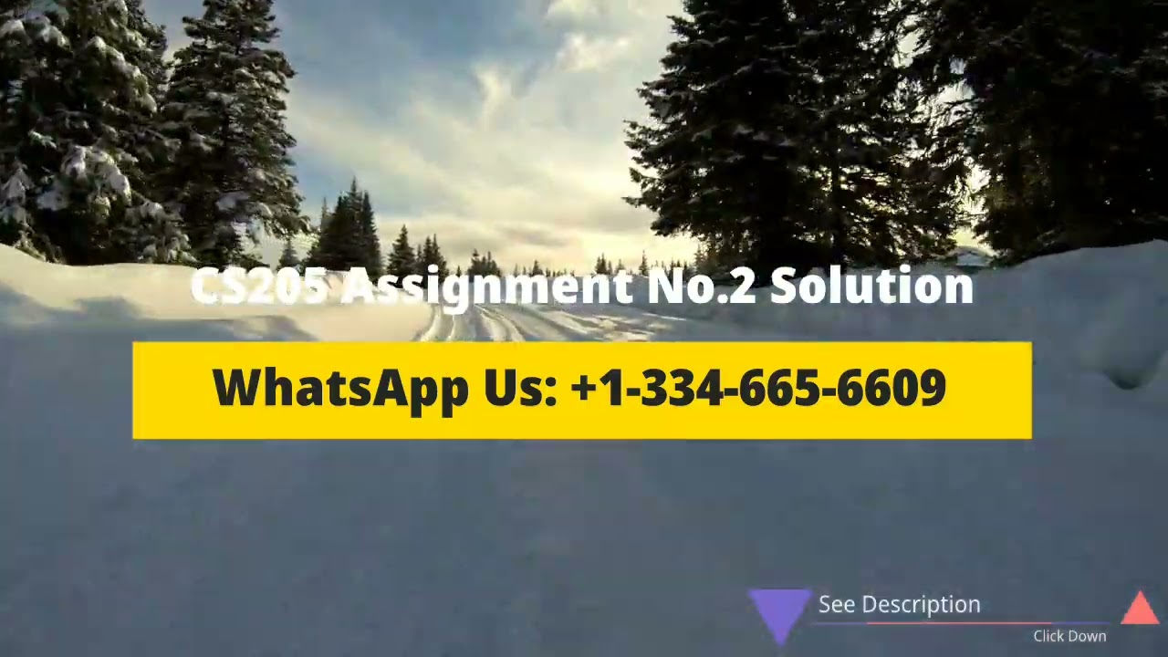 CS205 Assignment No 2 Solution 2022 | CS205 Assignment 2 Solution Spring 2022