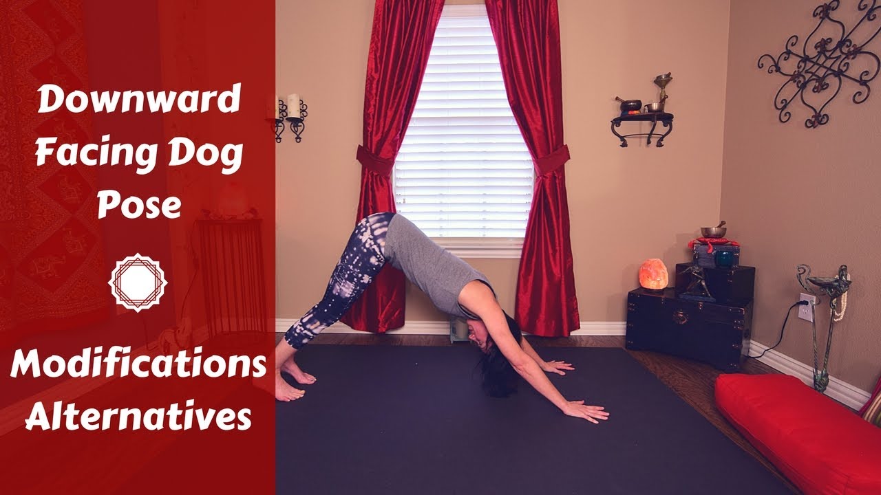 Downward Facing Dog Pose | Down Dog | Modifications, Tips & Alternatives