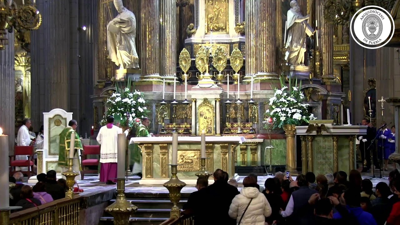 🔴 EN VIVO | Santa Misa 8 febrero 2026- V Domingo del Tiempo Ordinario