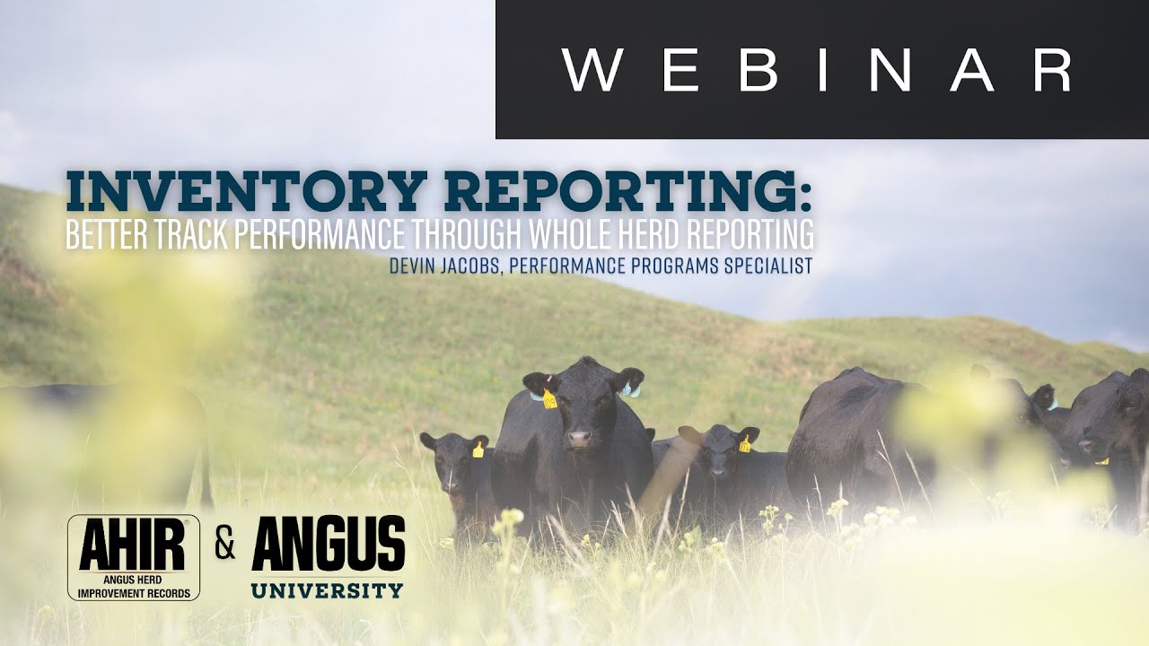 Inventory Reporting | WEBINAR - Dec. 4, 2025