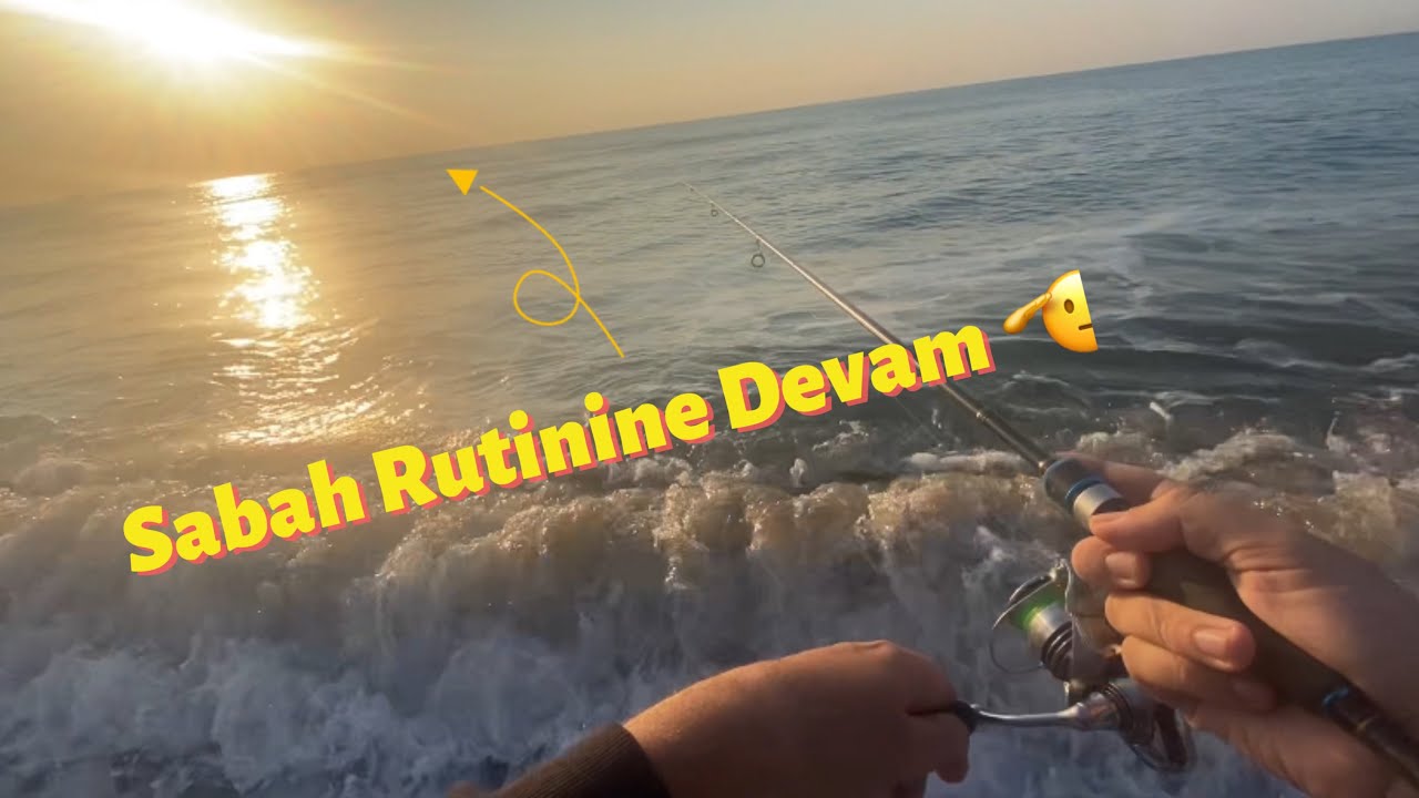 Gene aksiyon dolu eğlenceli bir sabah suyu oldu. LRF Hanfish Zıpır Bal Karides Balık Avı
