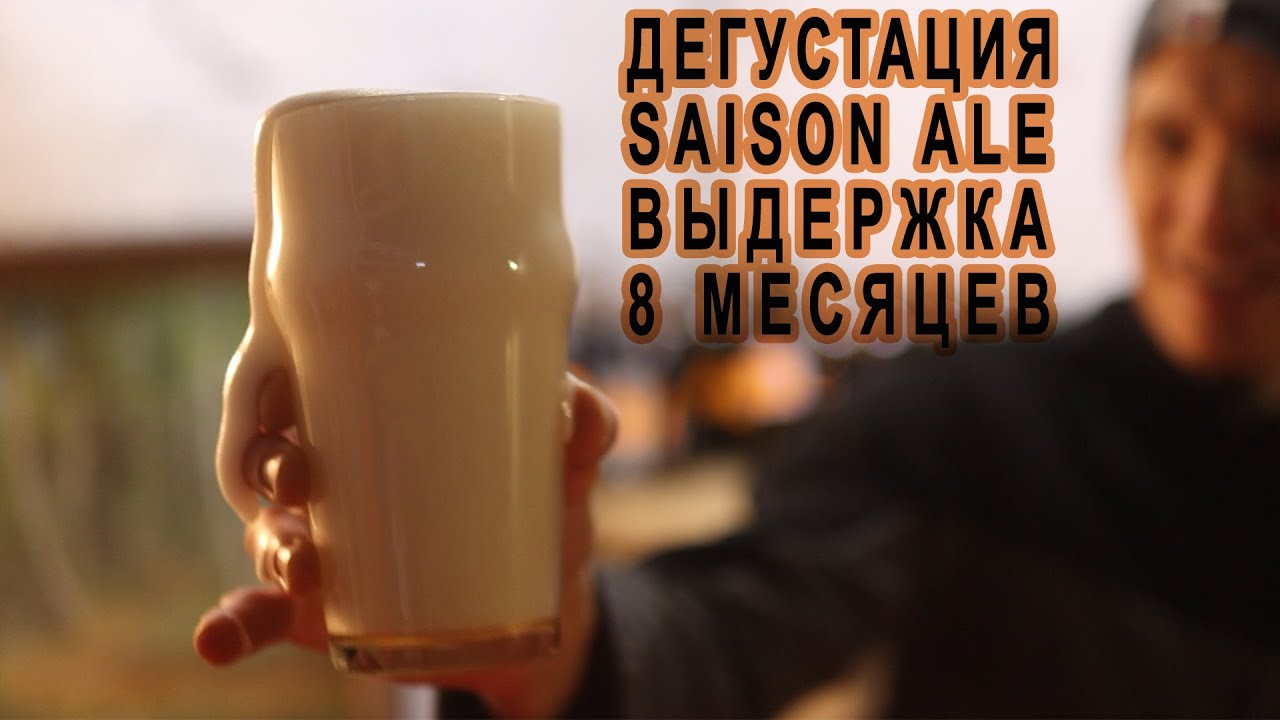 Дегустация Saison Ale Выдержка 8 месяцев