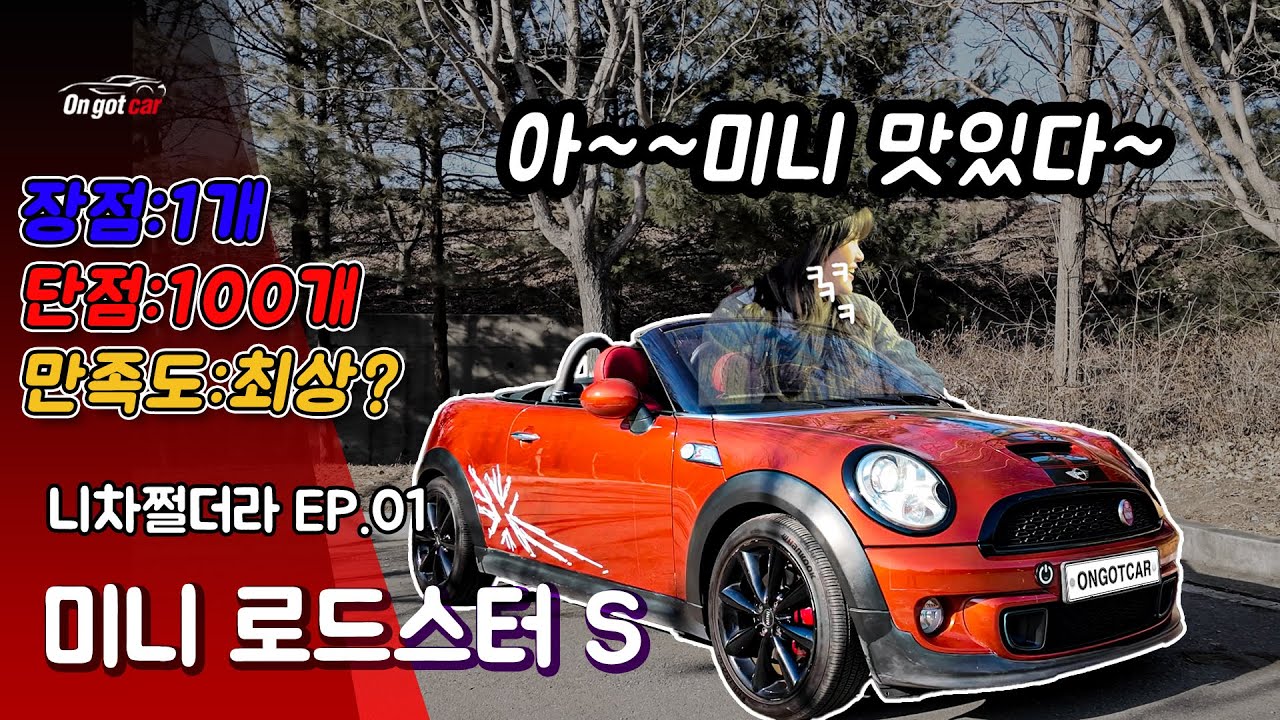 [니차쩔더라] 리뷰 해달랬더니 남친 구하고 있는 미니 누나(미니 로드스터 S, R59S)