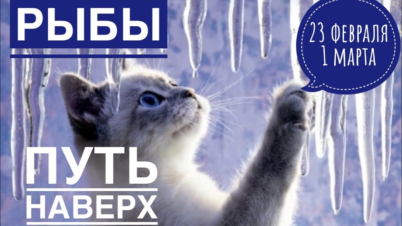 Рыбы ♓️ 23 февраля-1 марта 2026 🍀🔮✨🗝❤️ Таро Ленорман прогноз 
