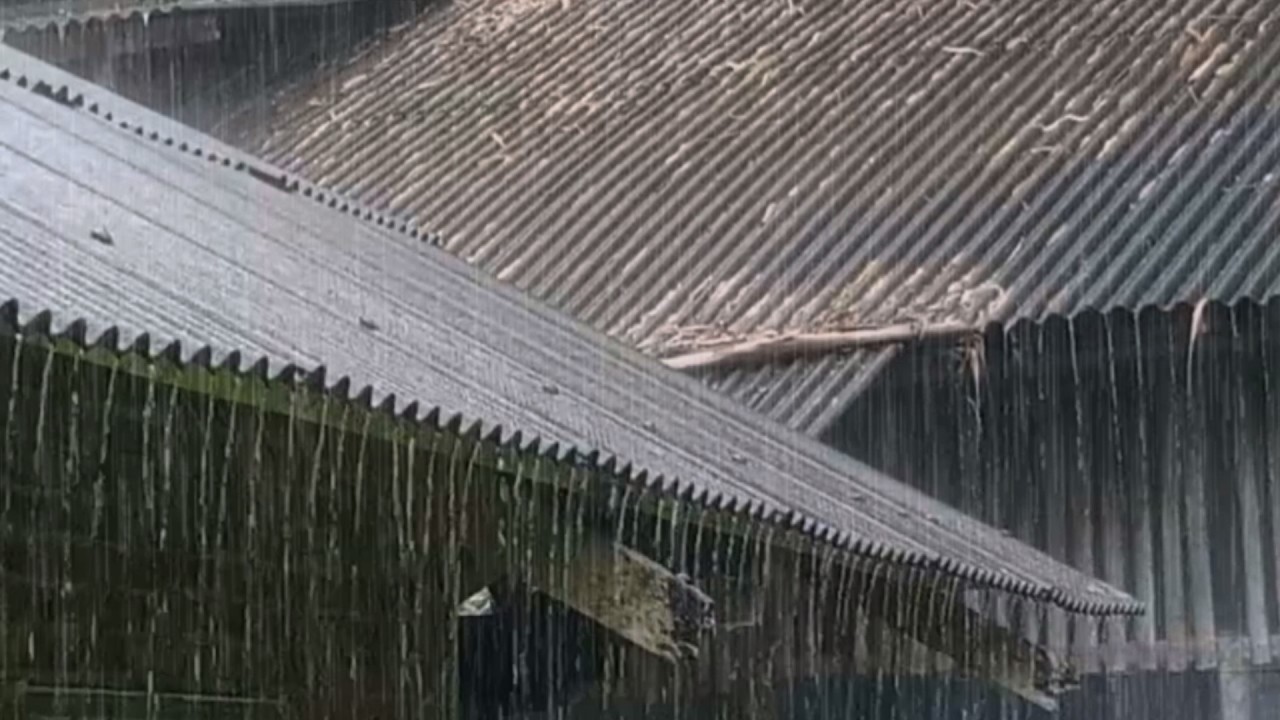 Сильный дождь на жестяной крыше в тихой сельской местности | Естественные звуки дождя для расслабляю