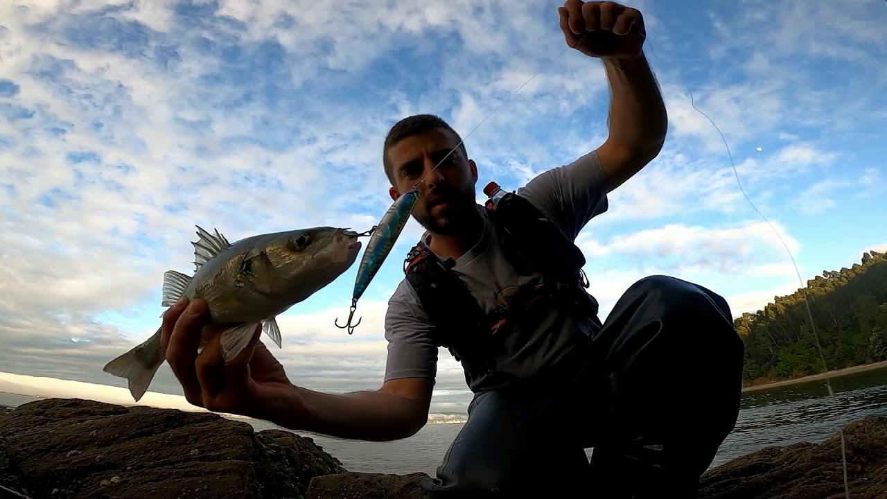 1 2 3 y 4 ataques de una pequeña lubina hasta clavarse! 🎣🎣