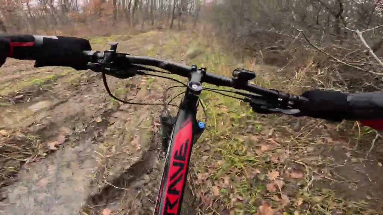 December Bike Trip. Capriana Forest. Moldova. 2024-12-23