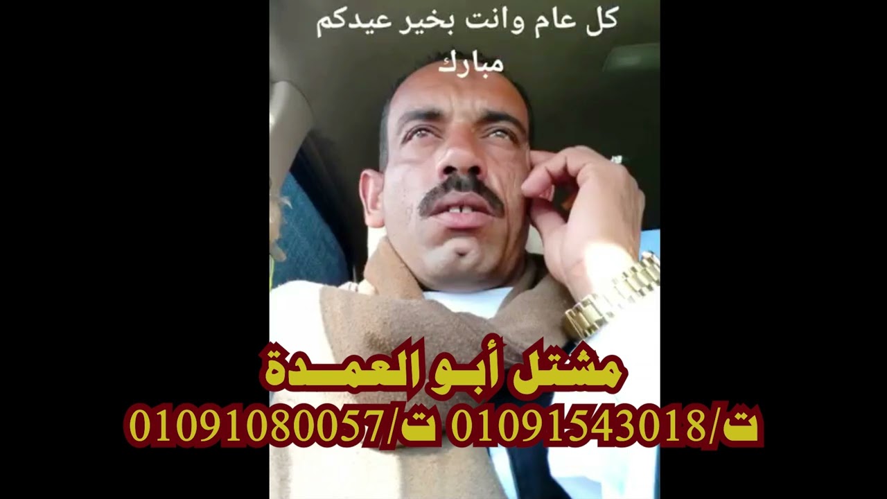 شتلة ابراهيم العمدة