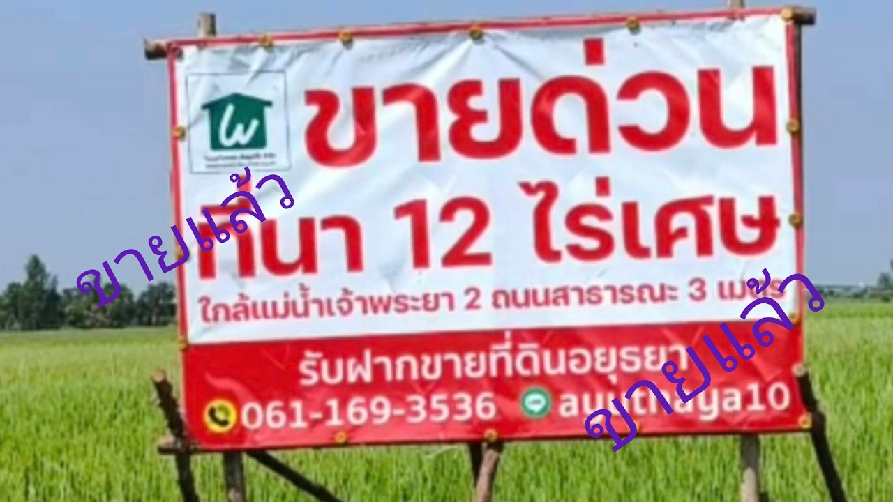ขายที่นาต่ำกว่าราคาประเมิน...บางไทร อยุธยา@pol property.4179