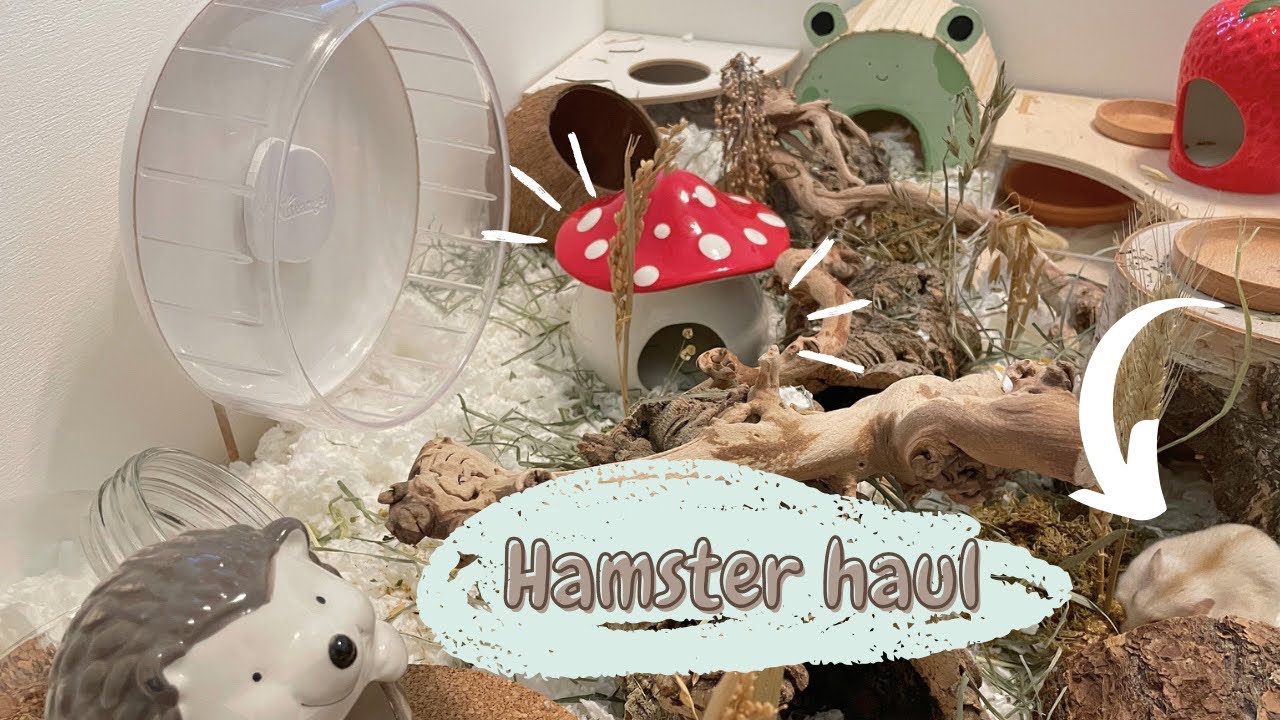 Hamster Haul & Vlog!