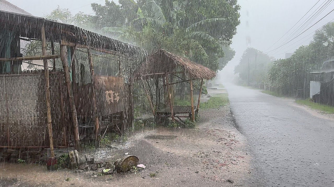 walking in heavy rain, very cold, heavy rain atmosphere and rain sounds for sleeping