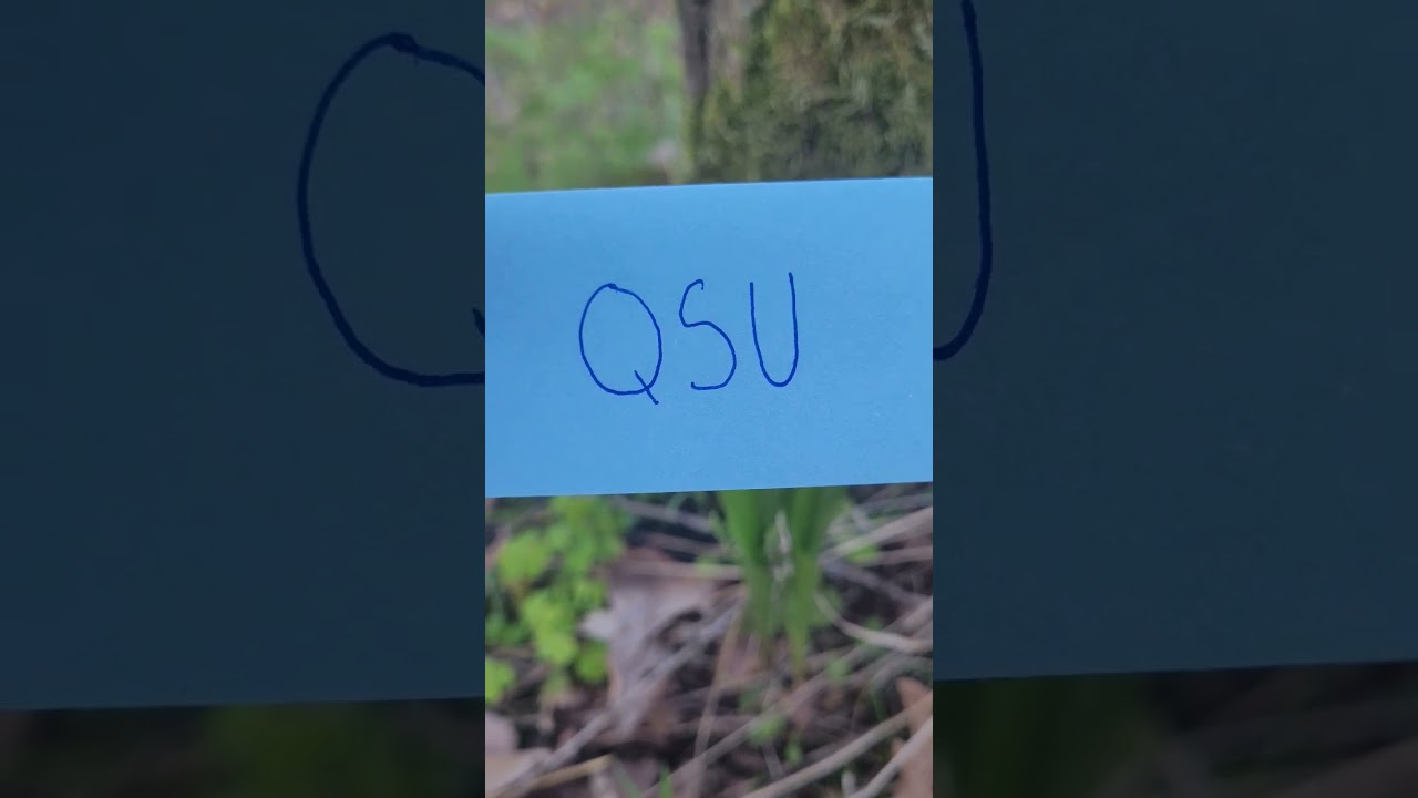 QSU #qCodes