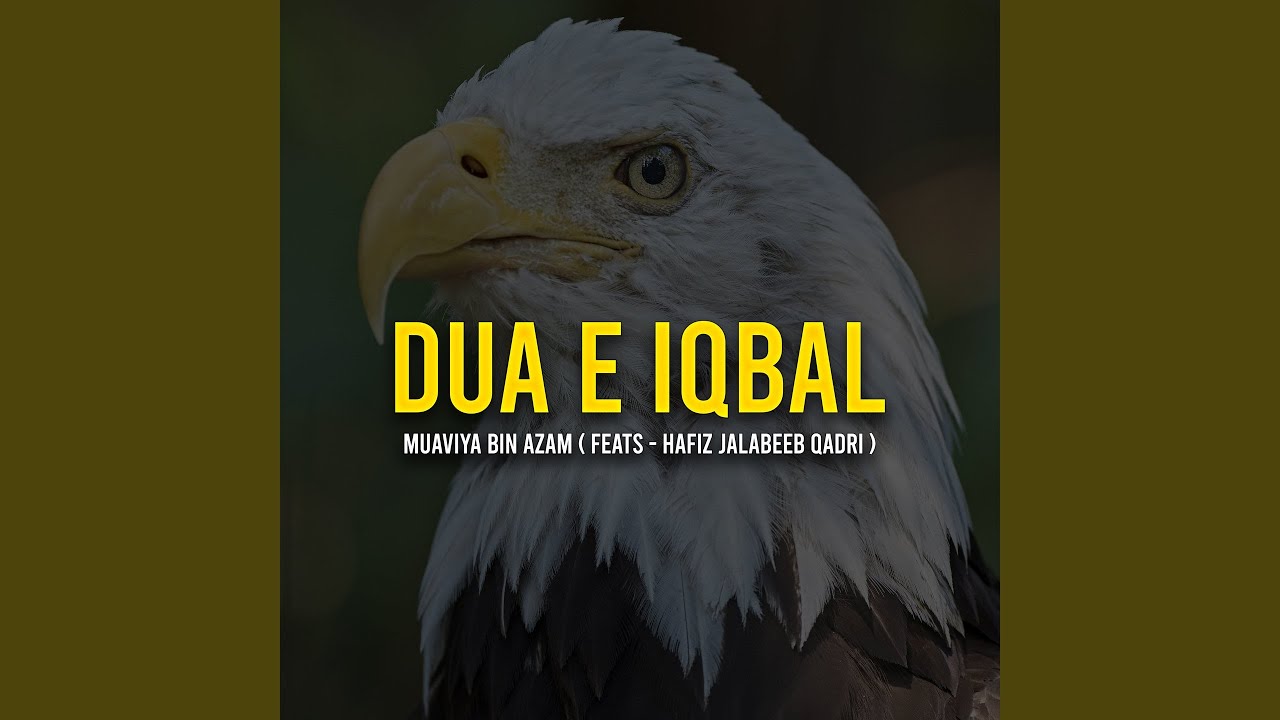 Dua E Iqbal (feat. hafiz jalabeeb qadri)