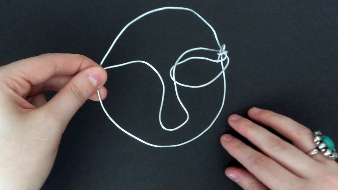 Wire Portrait