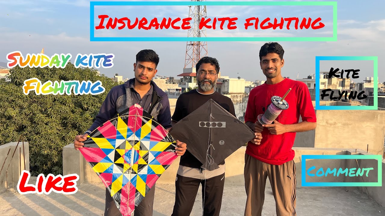 Sunday kite fighting #kite flying #kite looting #kite 