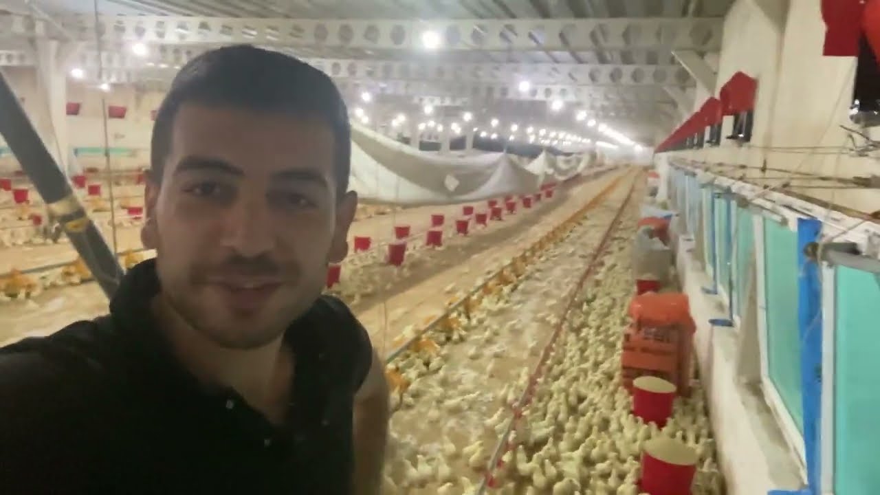 ETLİK TAVUK ÇİFTLİĞİ~ BİLMENİZ GEREKENLER