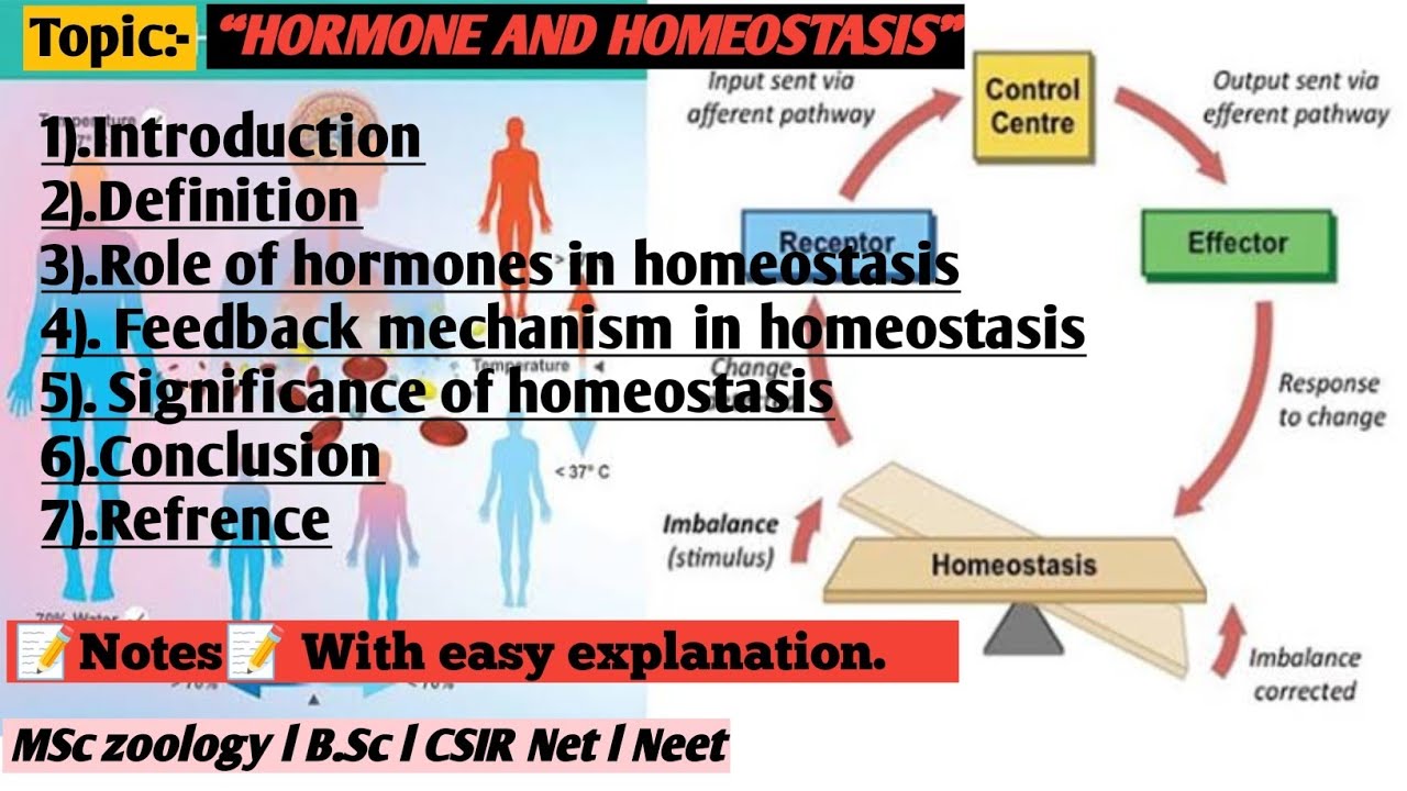 Hormone and homeostasis | Role of Hormone in Homeostasis | Hormone | Homeostasis
