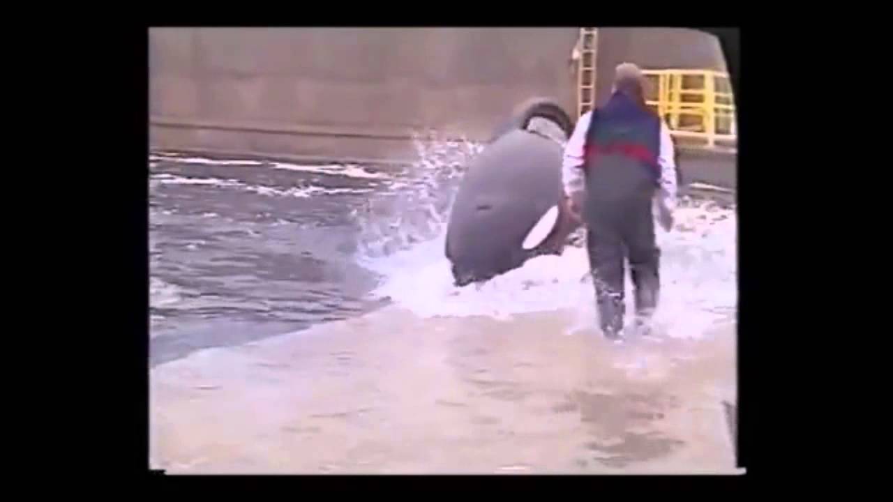 In Memory Of Keiko