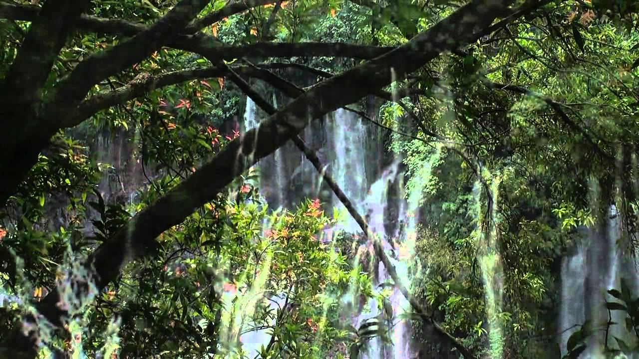 Expedit Lebon. - mi vé pi travail