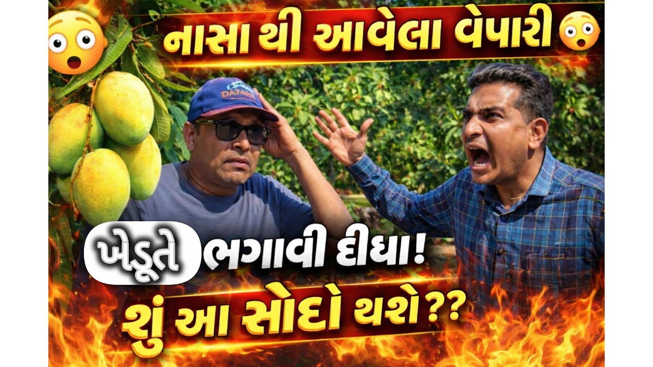 કામની વ્યસ્તતાની વચ્ચે થોડી રમૂજ સાથે મિત્રોનો આનંદ