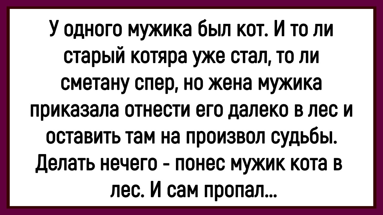 🤡Как  Кот Почти Сделал Мужика Жертвой Леса! Смешные Анекдоты Для Всех!