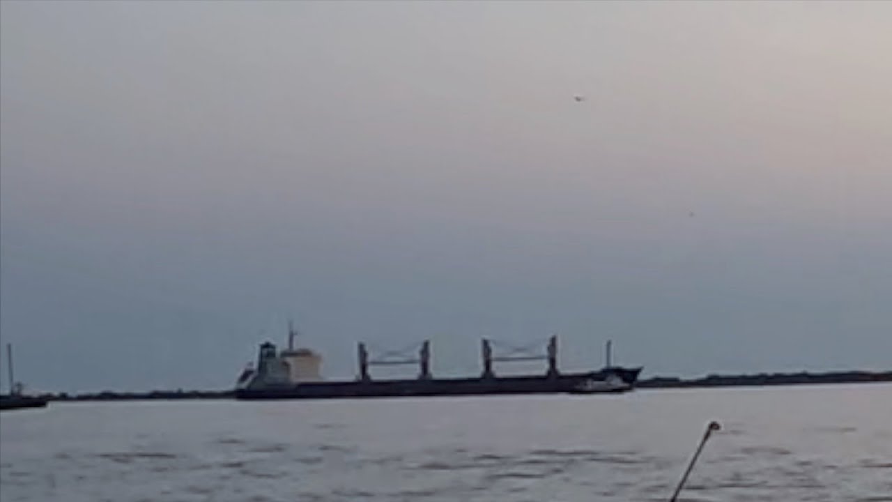 What Will We Catch On This Tide? Fishing Venice