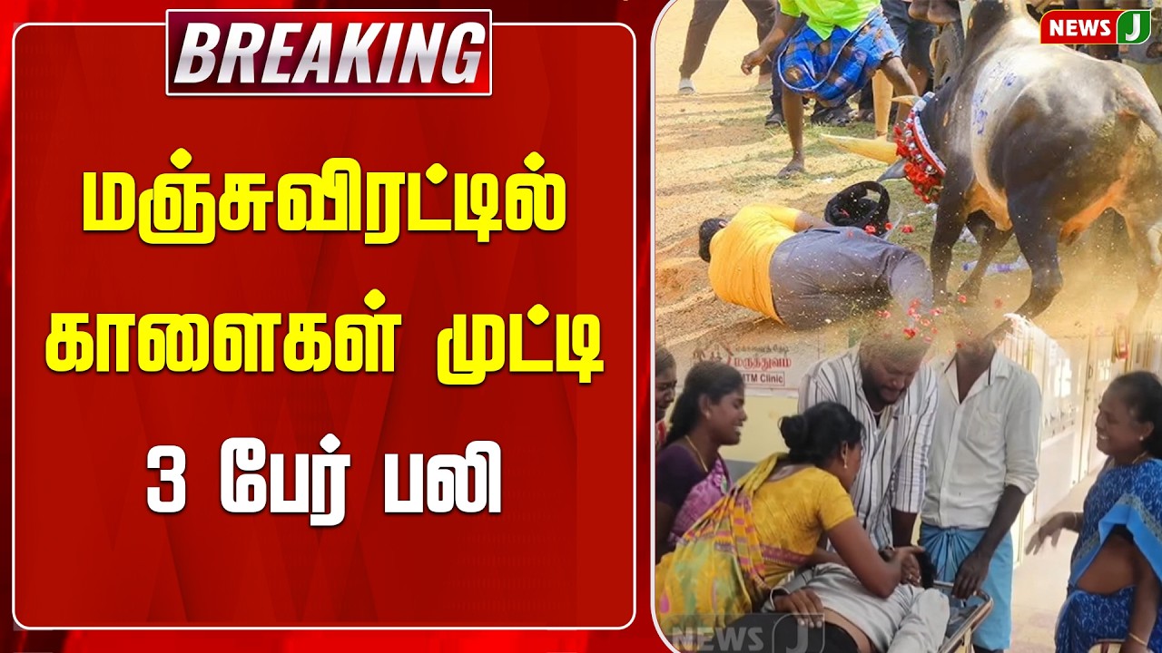 #BREAKING || மஞ்சுவிரட்டில் காளைகள் முட்டி 3 பேர் பலி..! | JALLIKATTU | NEWSJ