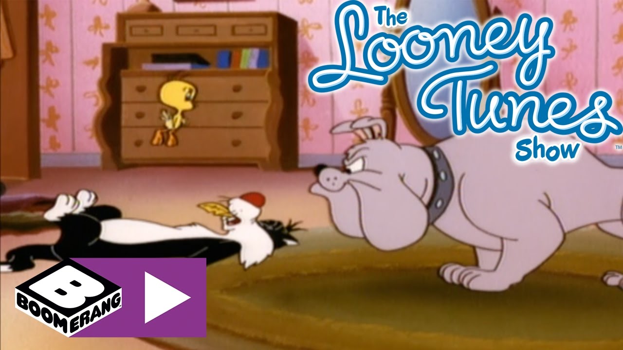 Sylvester & Tweety | Tweety'nin Planı | Boomerang