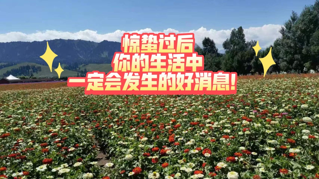 惊蛰过后，你的生活中一定会发生的好消息！（覆盖未来15天  不限时空  不限关系）