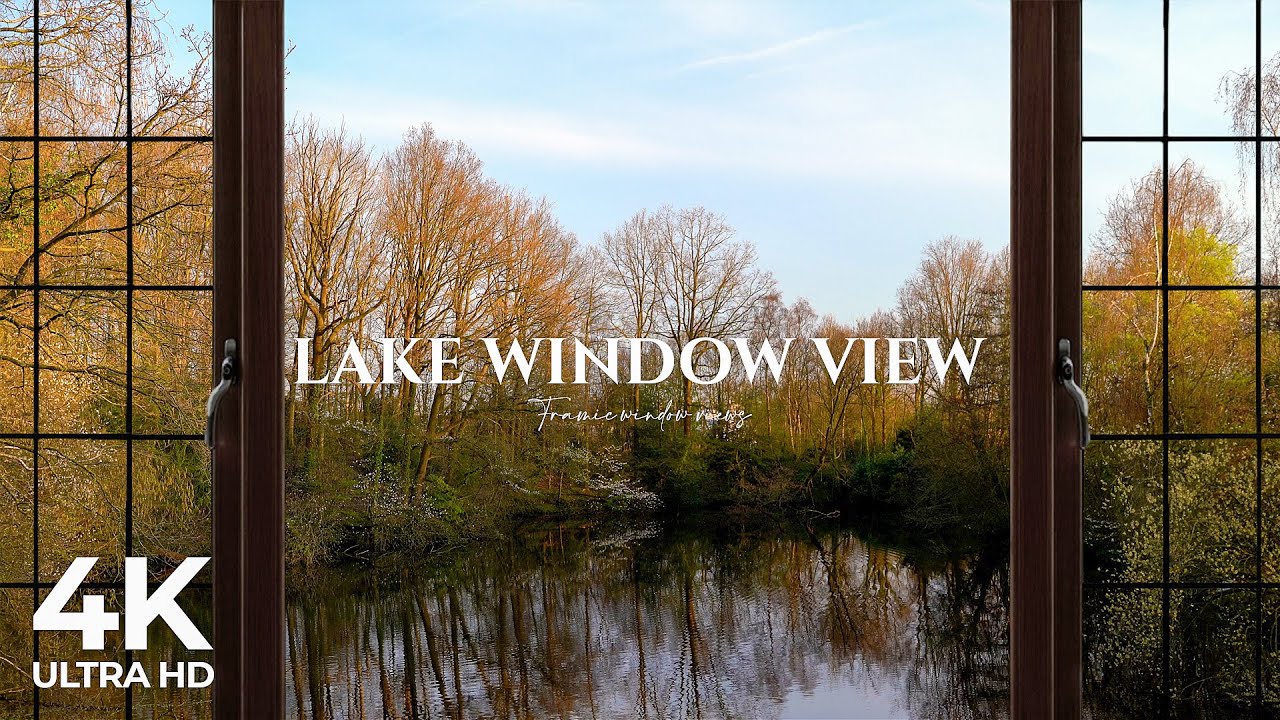 4K lake window view with animals during sunset - Relaxing, Calming, Ambience,