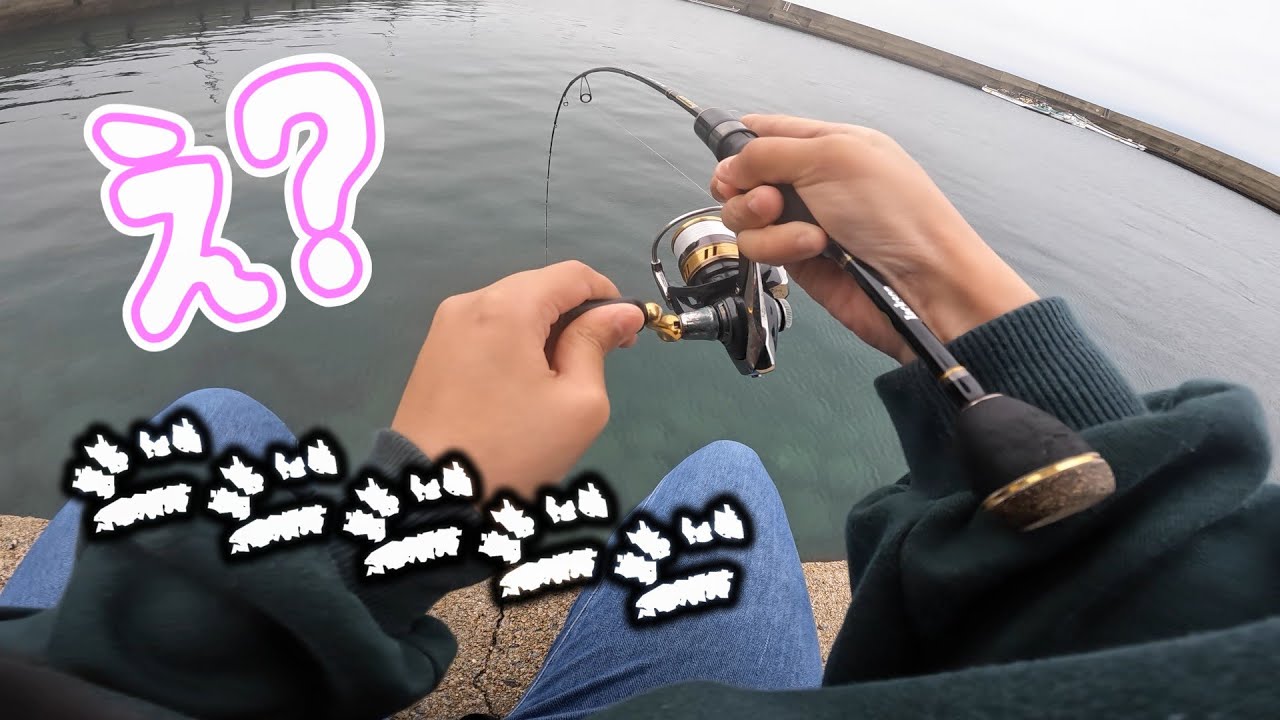 小物釣りのはずが妻の竿に強烈な魚が喰いついて大パニックに…