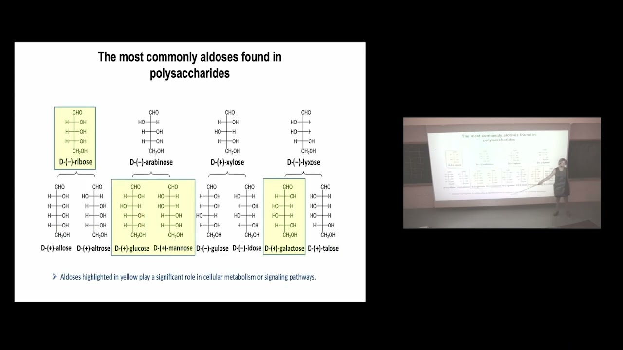 Polysaccharides