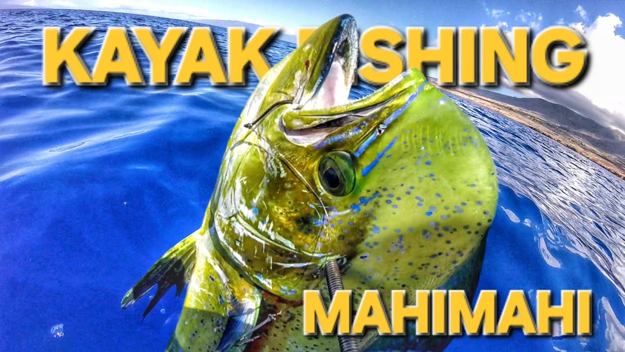 Mahimahi for the Win!!