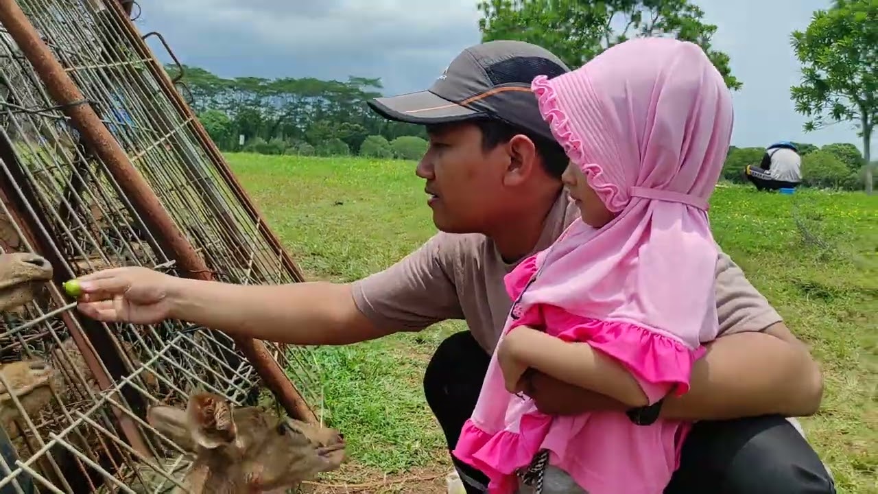 Rusa