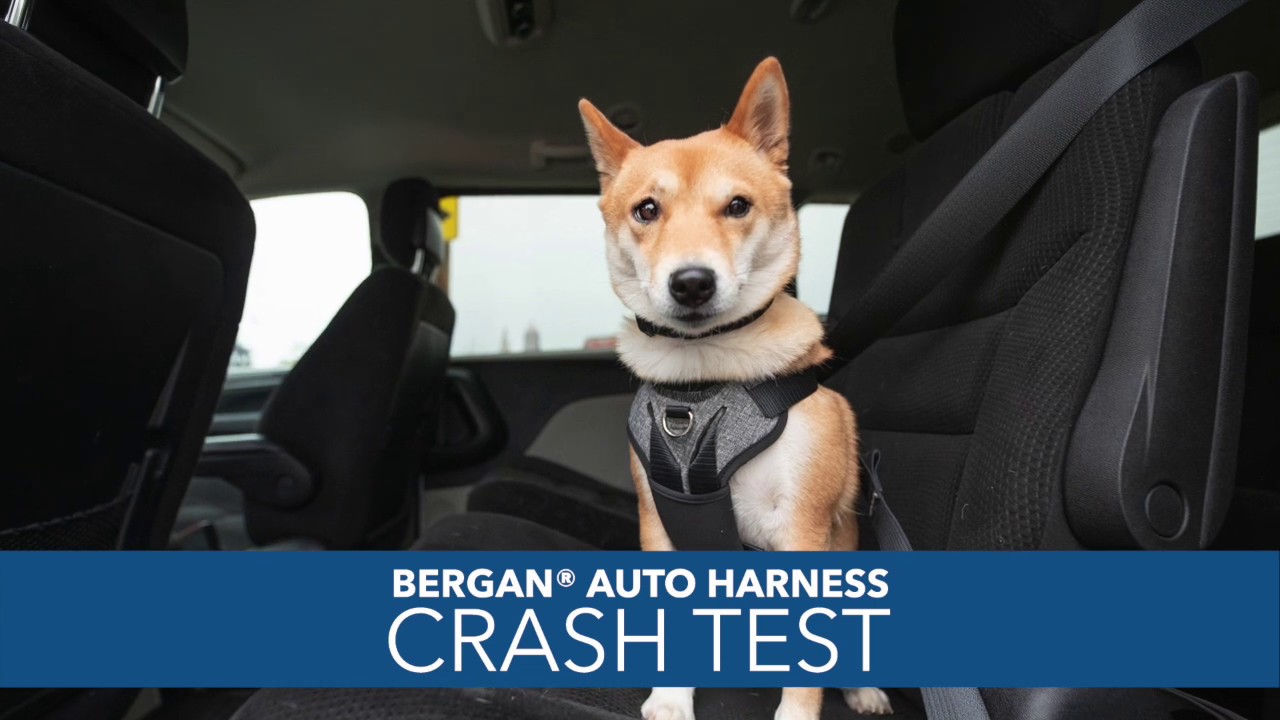 Bergan Auto Harness Crash Test at Calspan