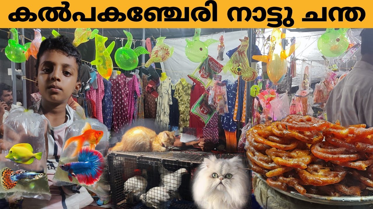 ഇവിടെ വളരെ വിലക്കുറവിൽ സാധനങ്ങൾ വാങ്ങാം ||കൽപകഞ്ചേരി ചന്ത || Kalpakanchery Chanda