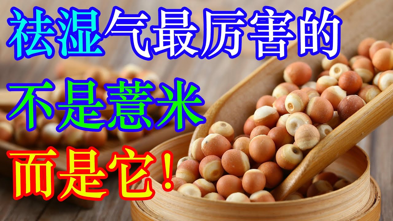 原来祛湿气最厉害的，不是薏米，而是它！ | 李医生谈健康【中医养生】