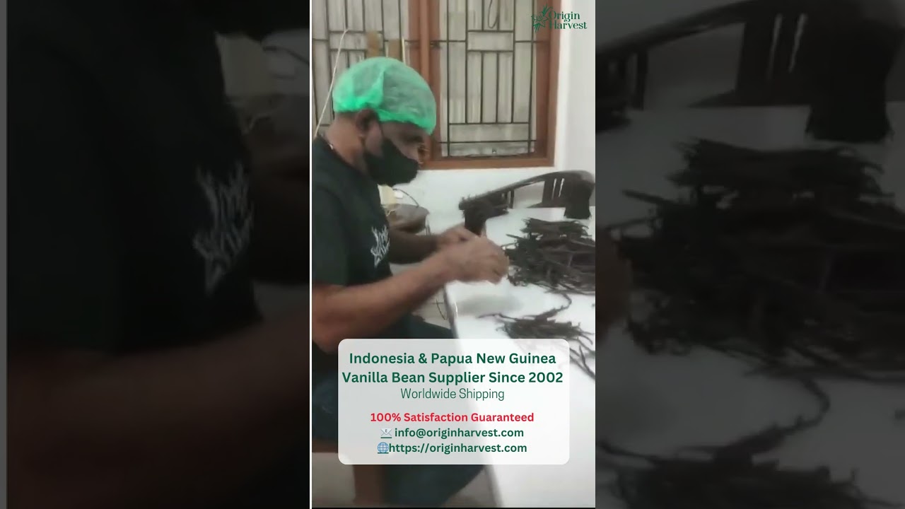 Indonesia Vanilla Bean Supplier, vanilleboon, vaina de vainilla, gousse de vanille