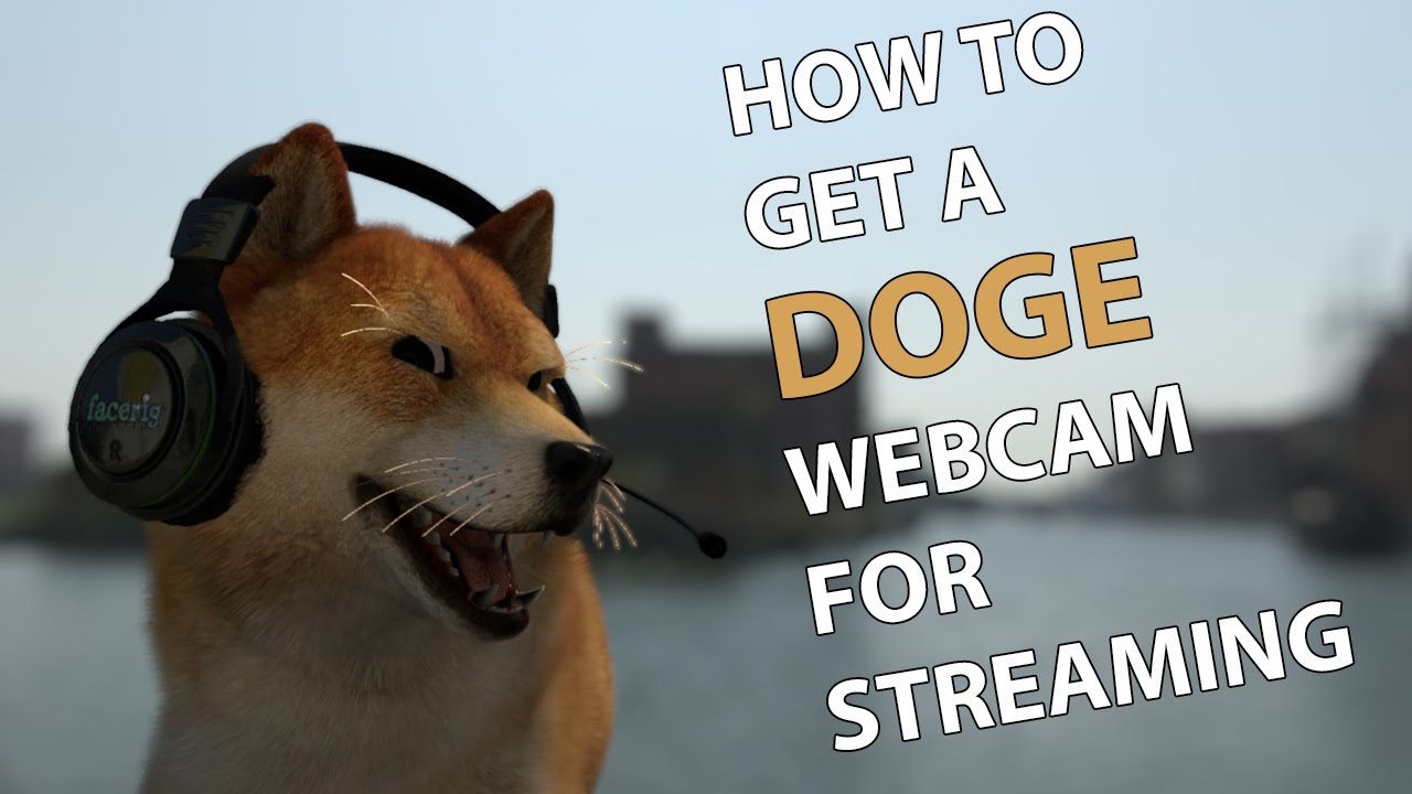 Как получить веб-камеру Doge для трансляции